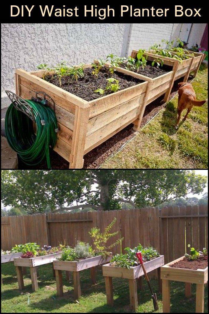 Diy Raised Planter Box