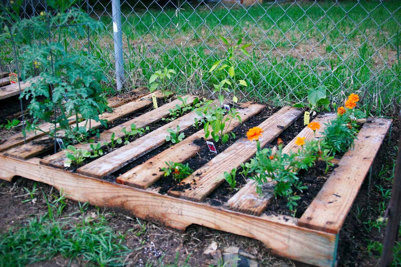 Diy Pallet Garden Raised Flower Bed Ideas