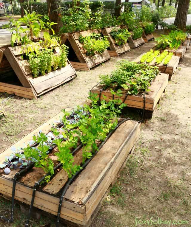 Upright Pallet Raised Beds