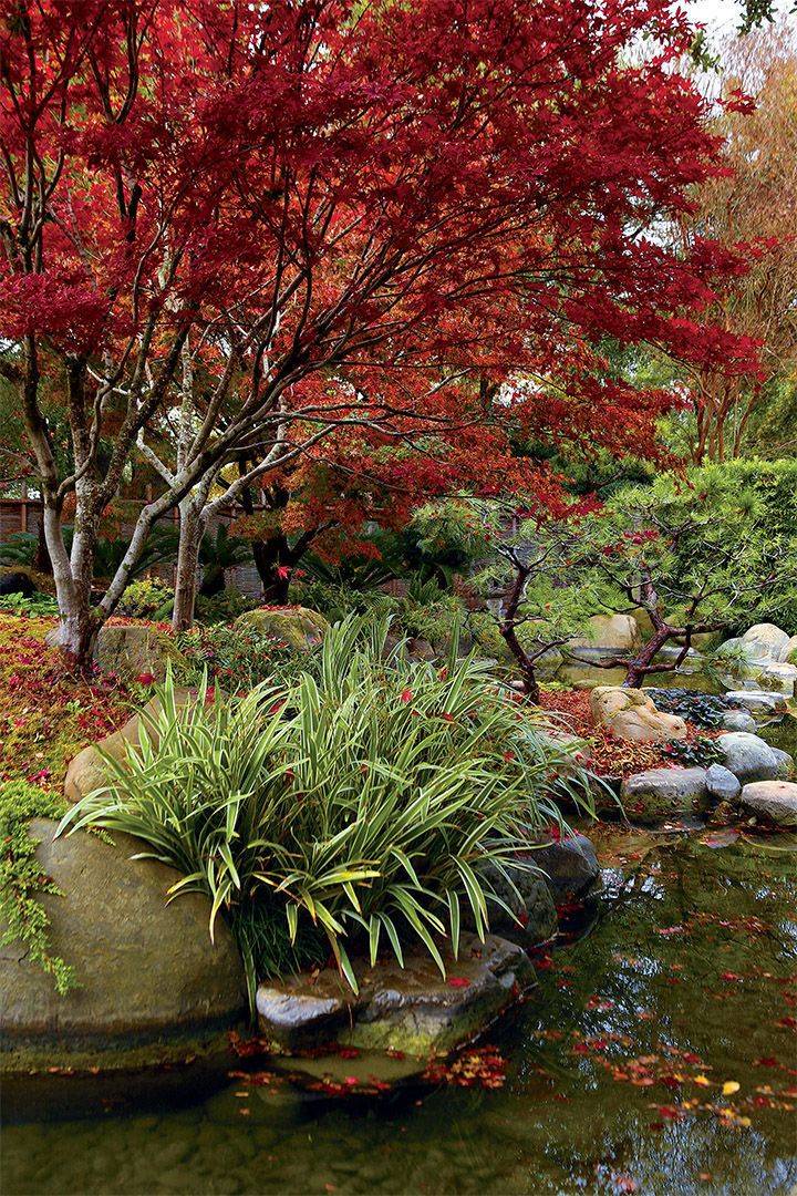 Best Beautiful Japanese Flower Gardens Ideas