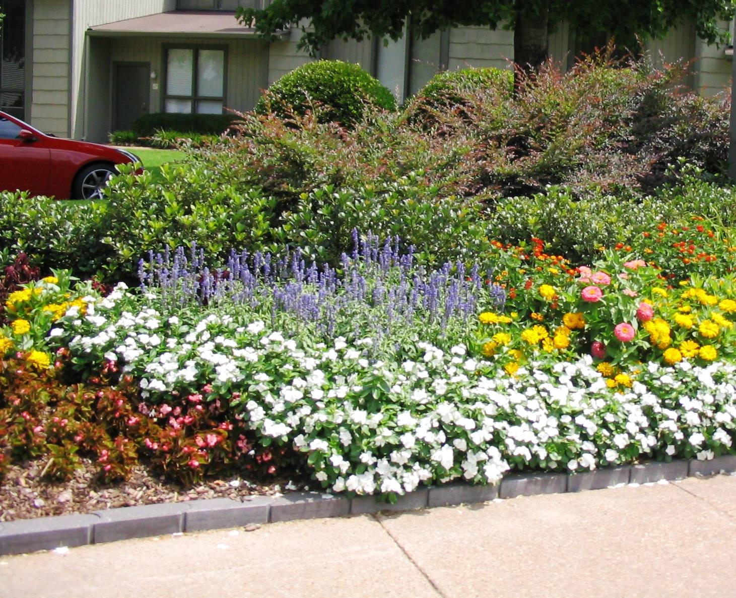 Flowers Garden Ideas