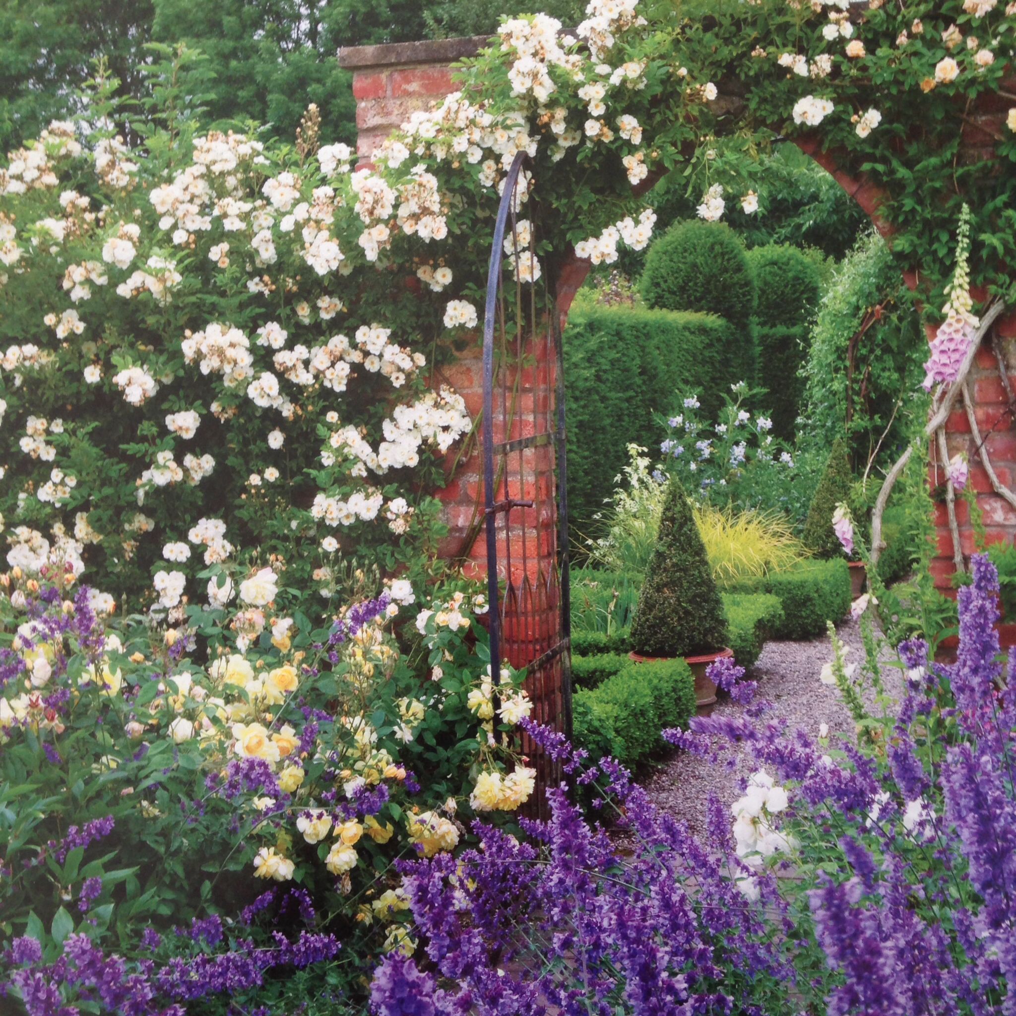 Peaceful Summer Garden Pictures