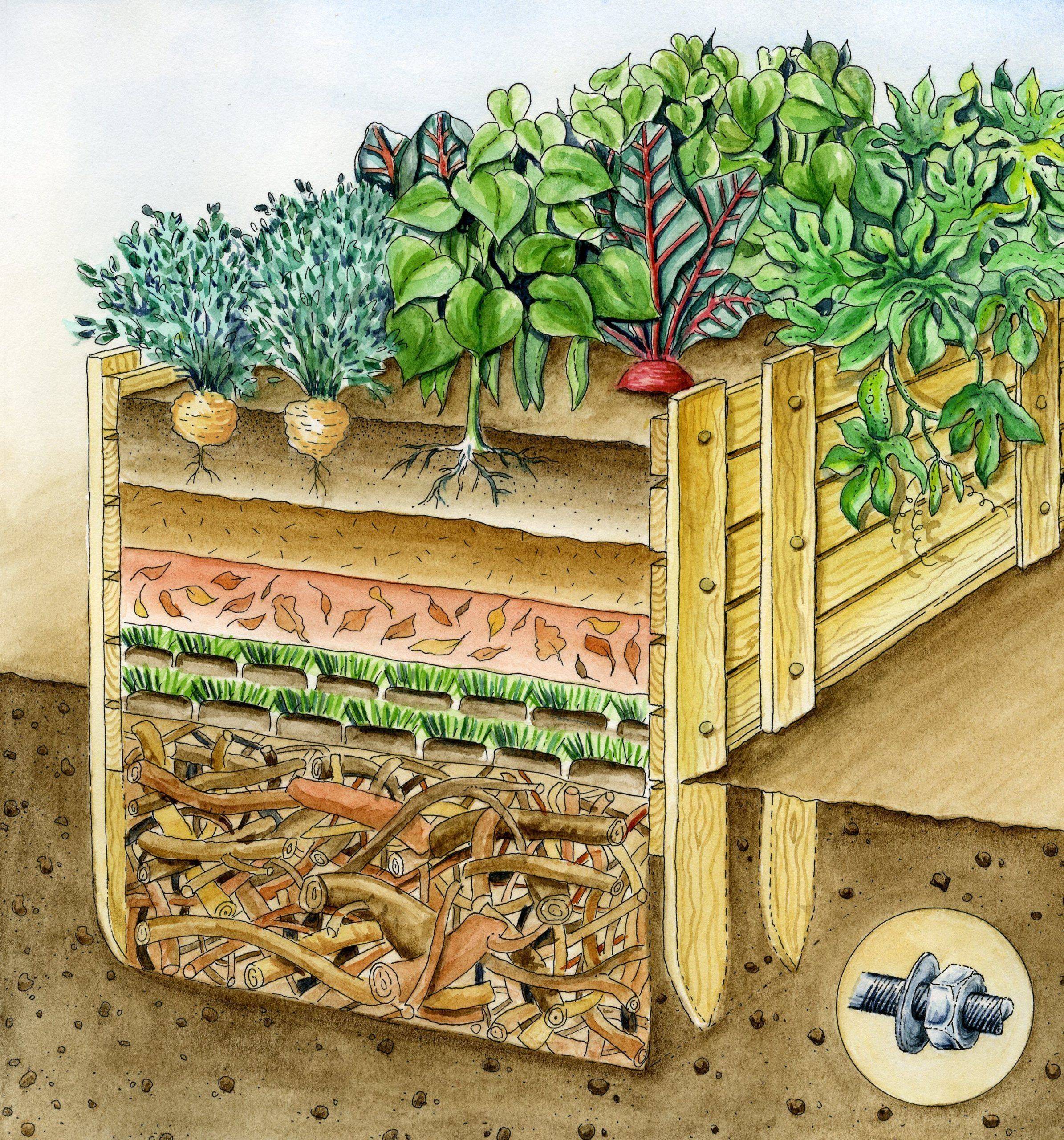 A Beautiful Raised Bed Vegetable Garden
