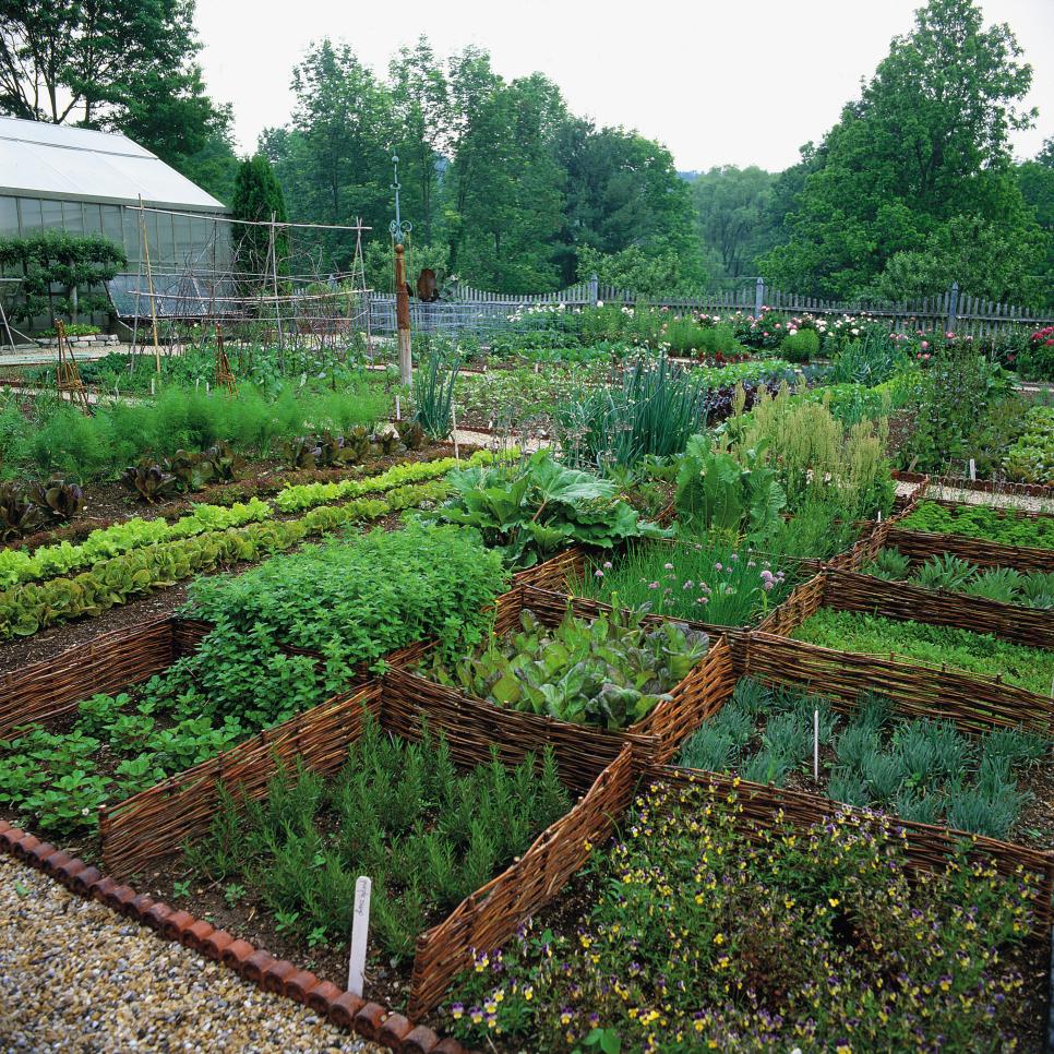 Kitchen Garden Garden Design Landscaping Project