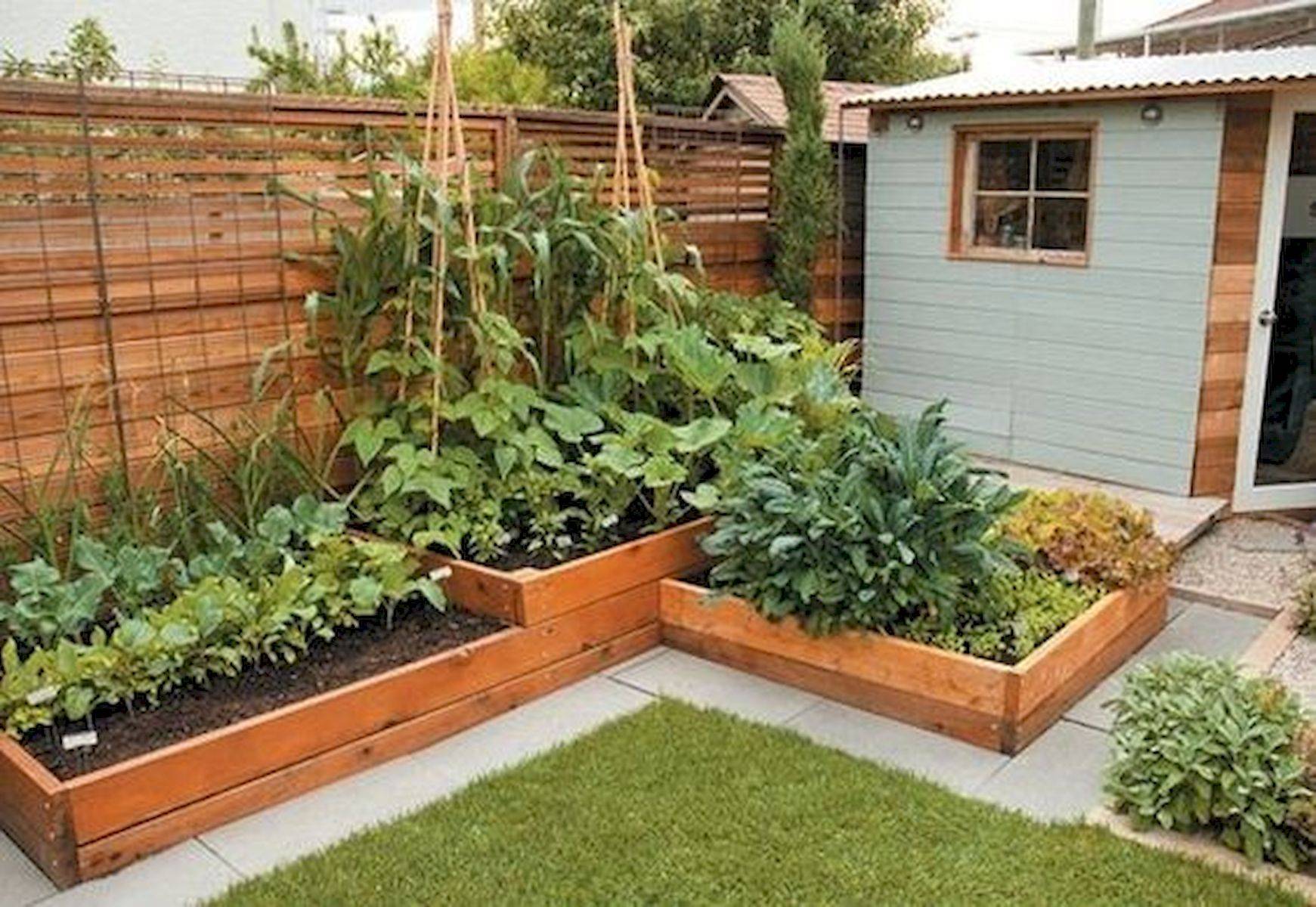 Small Garden Design Vegetables Very Beautiful Backyard Vegetable
