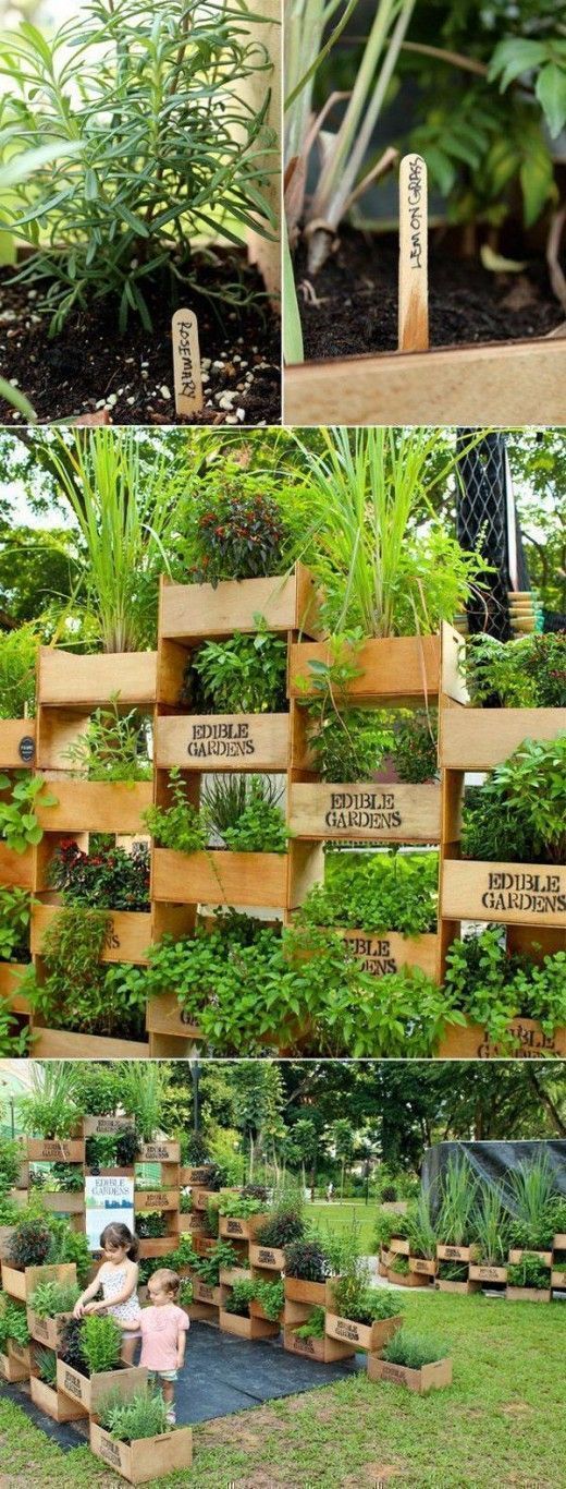 Creative Vegetable Garden Ideas And Decorations Vertical Vegetable