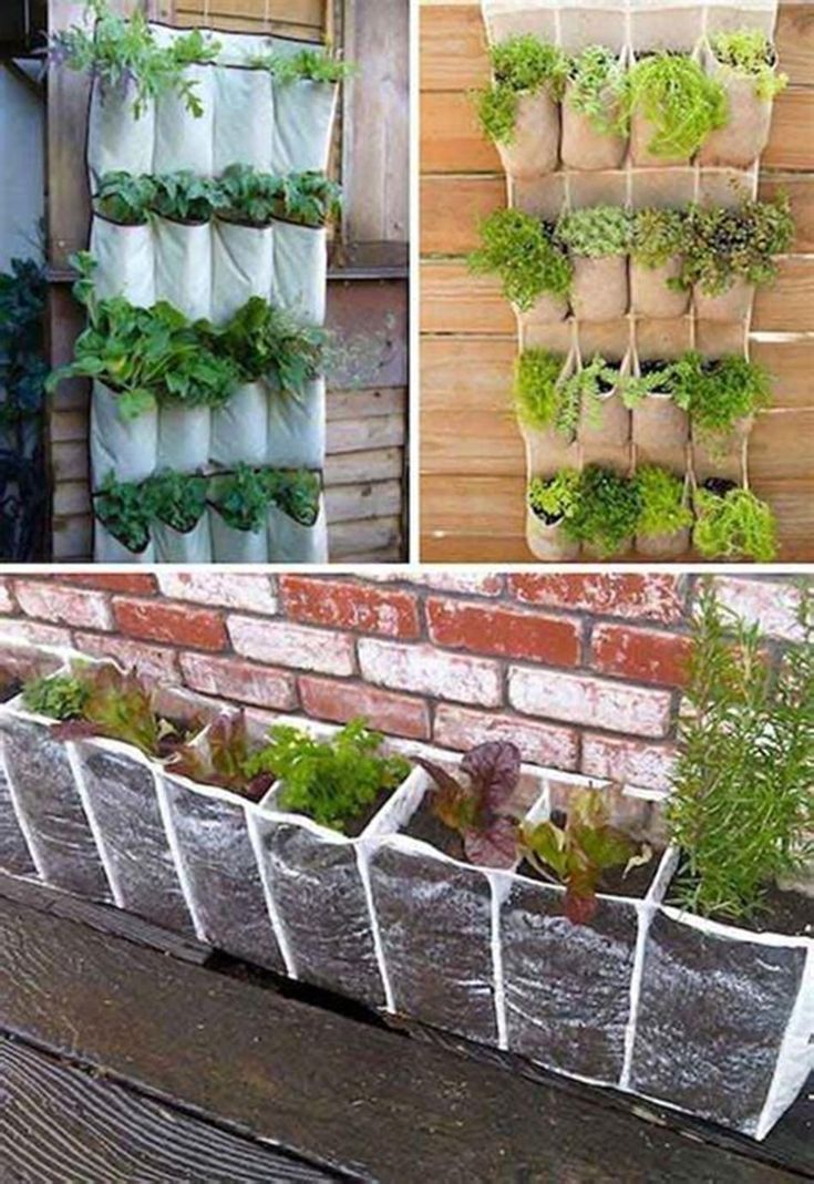 Creative And Simple Diy Vertical Garden Ideas Page