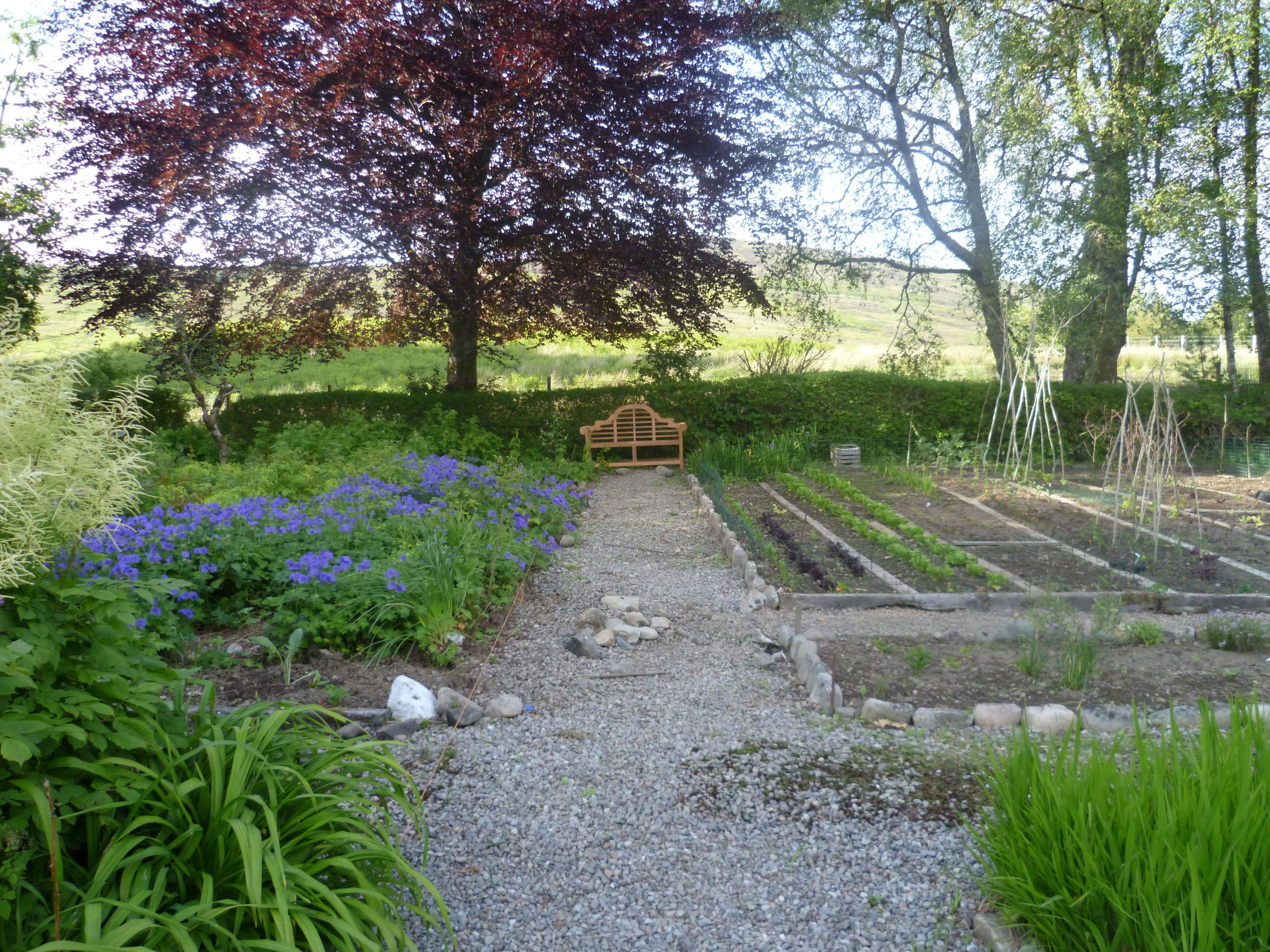 Country Vegetable Garden Garden Project Ideas