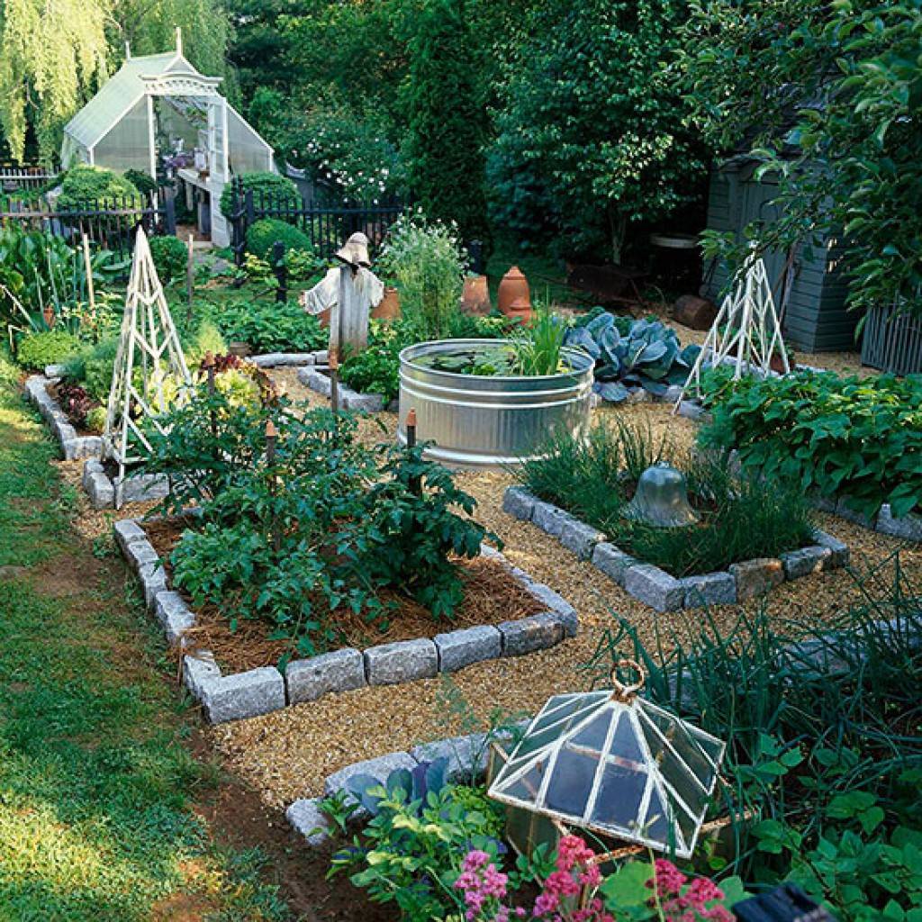 Amazing Vegetable Gardens Vegetable Garden