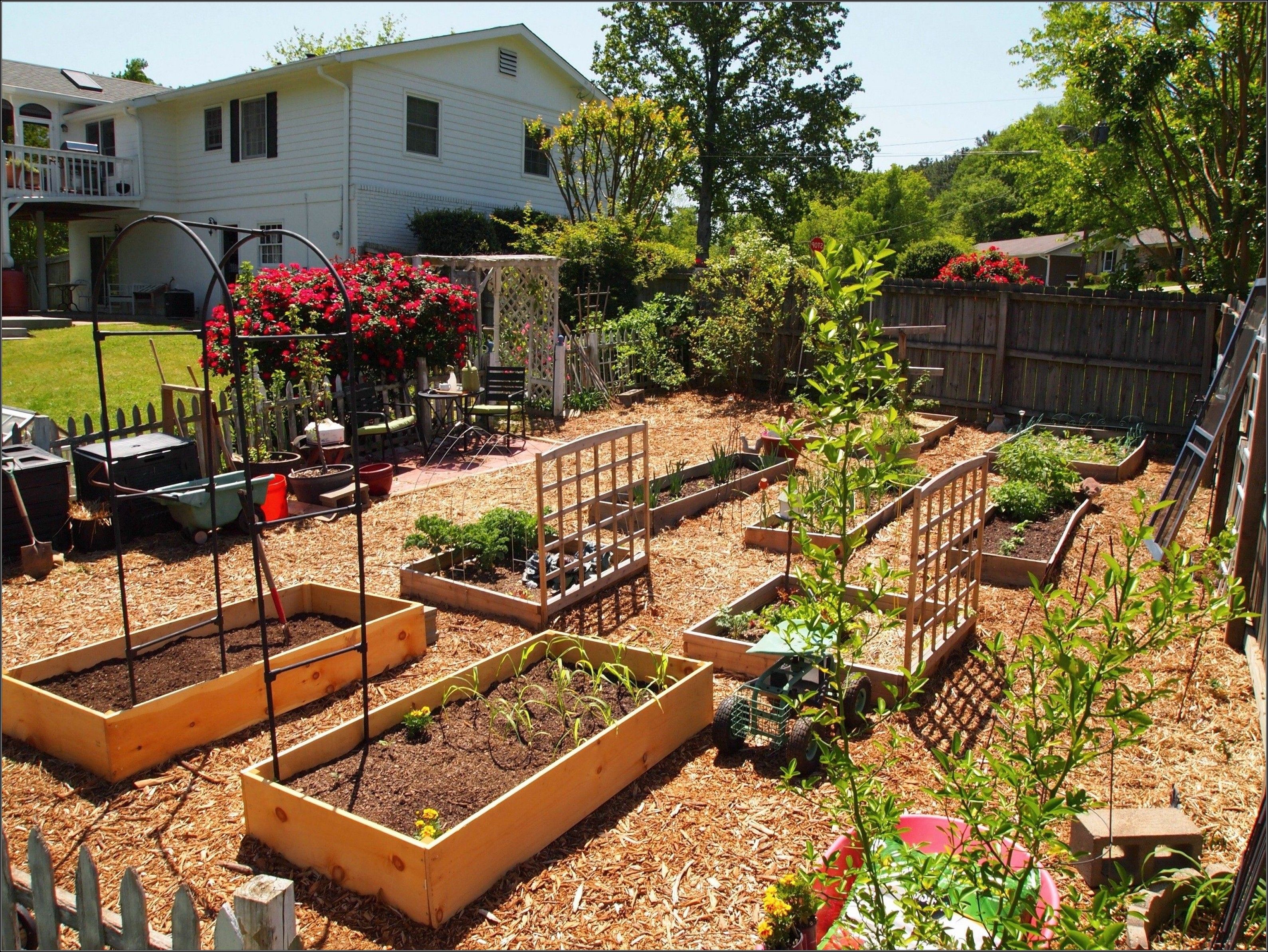 Most Productive Small Vegetable Garden Ideas