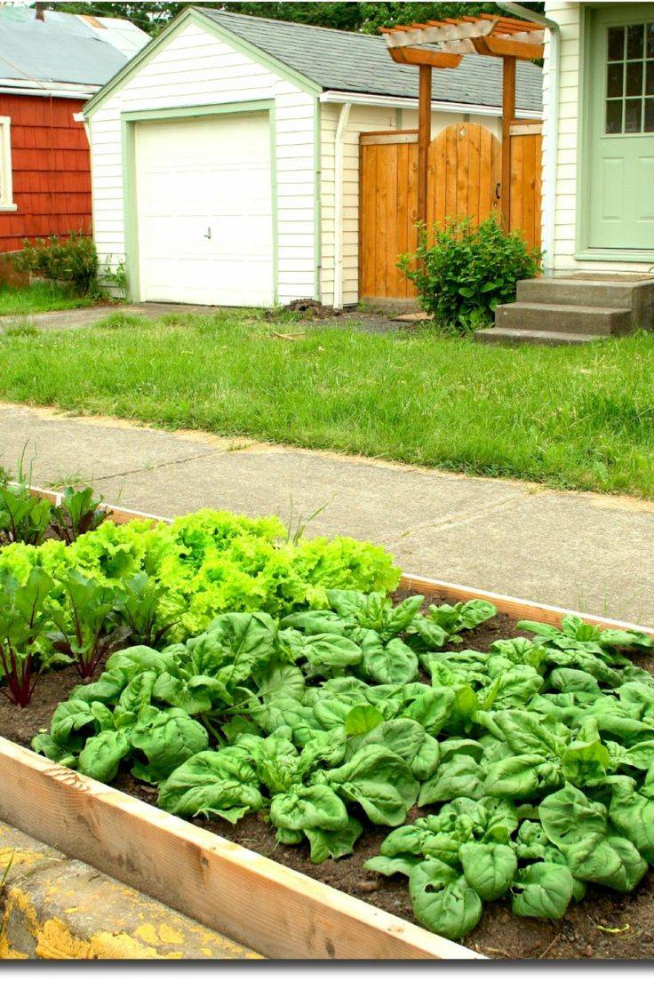 Beautiful Vegetable Garden Ideas