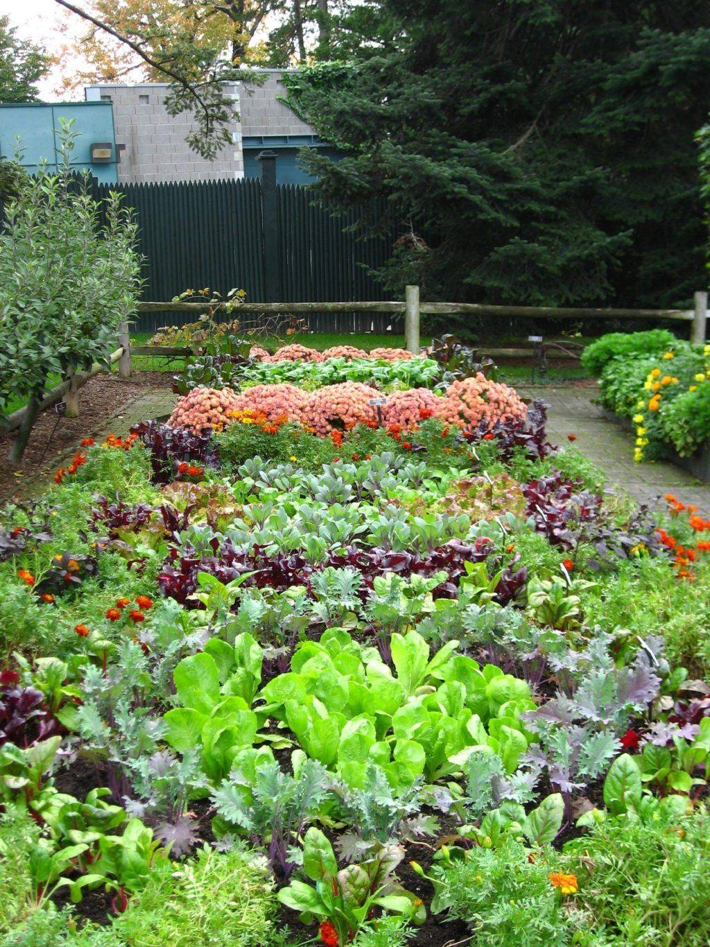 Very Beautiful Backyard Vegetable Garden Designs