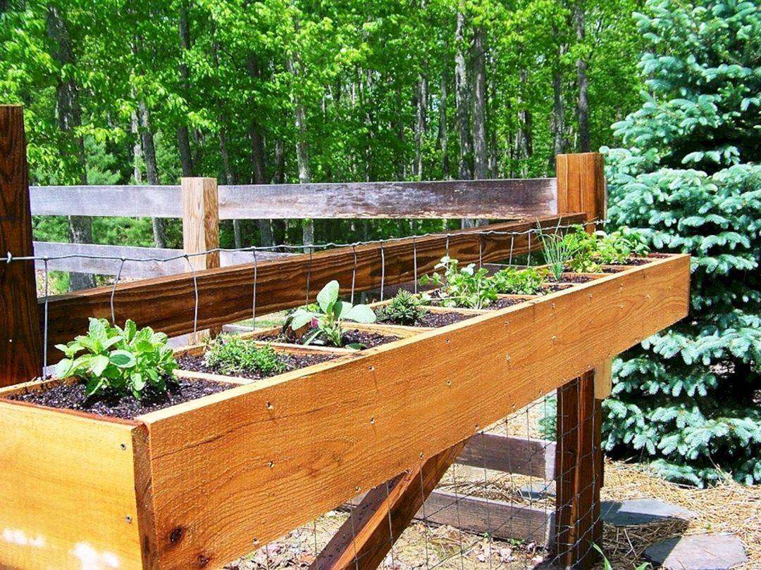 Delightful Raised Garden Beds