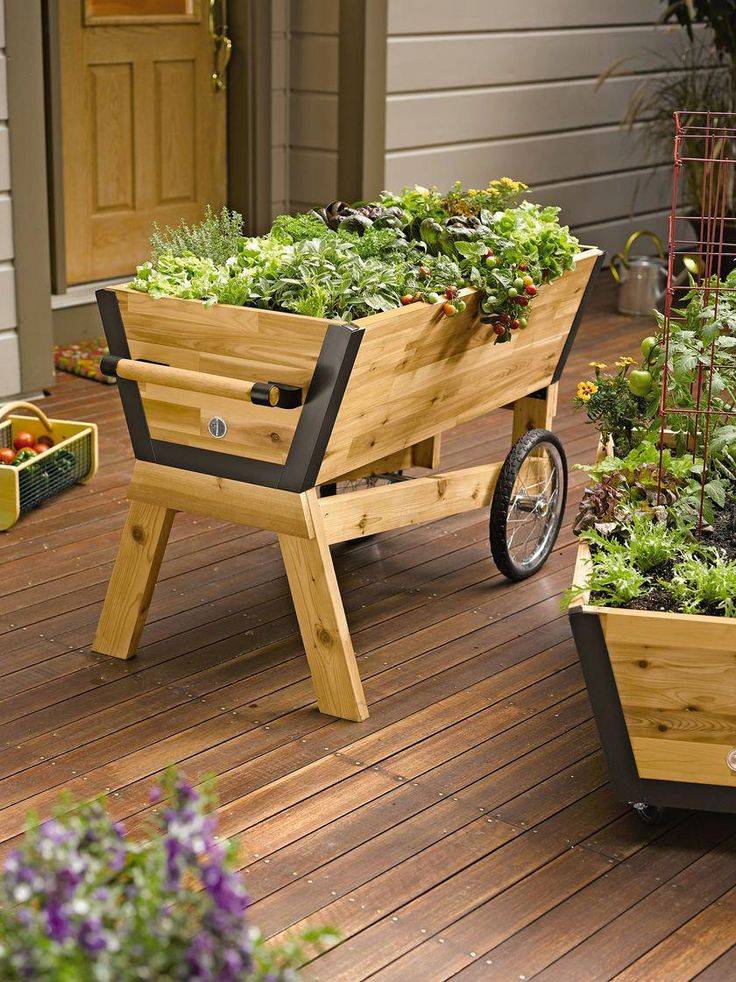 Container Gardening Top Home Information