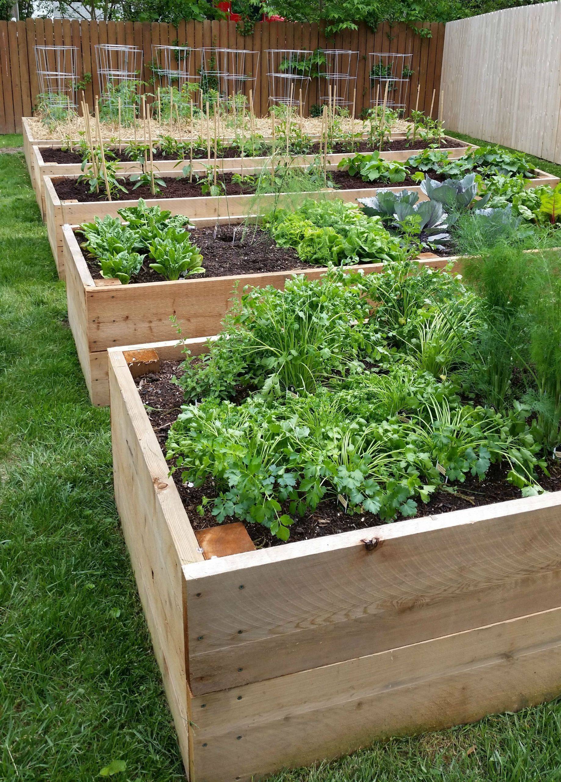 Garden Box Ideas