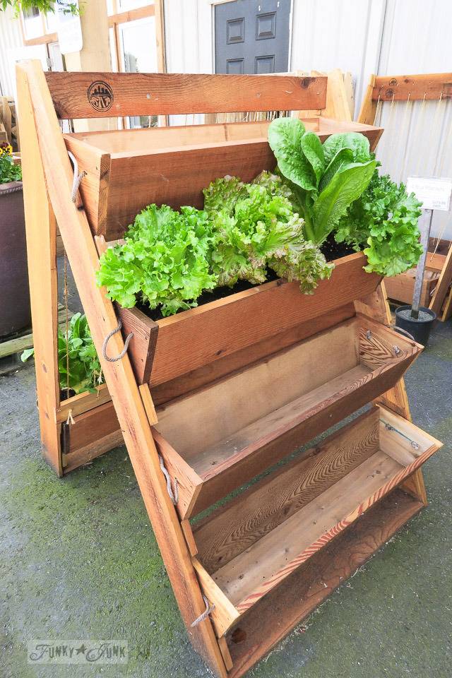 Raised Herb Garden Box Garden Design Ideas