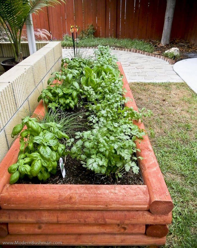 A Raised Bed Herb Garden Lifetime