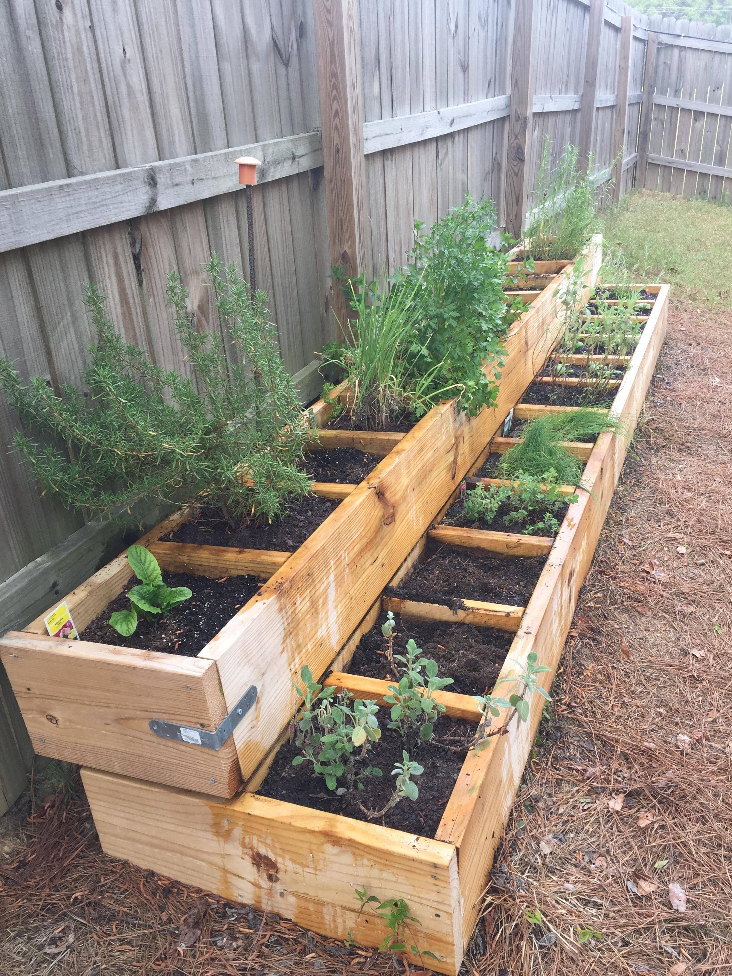 A Fantastic Raised Bed Herb Garden Herbs Info