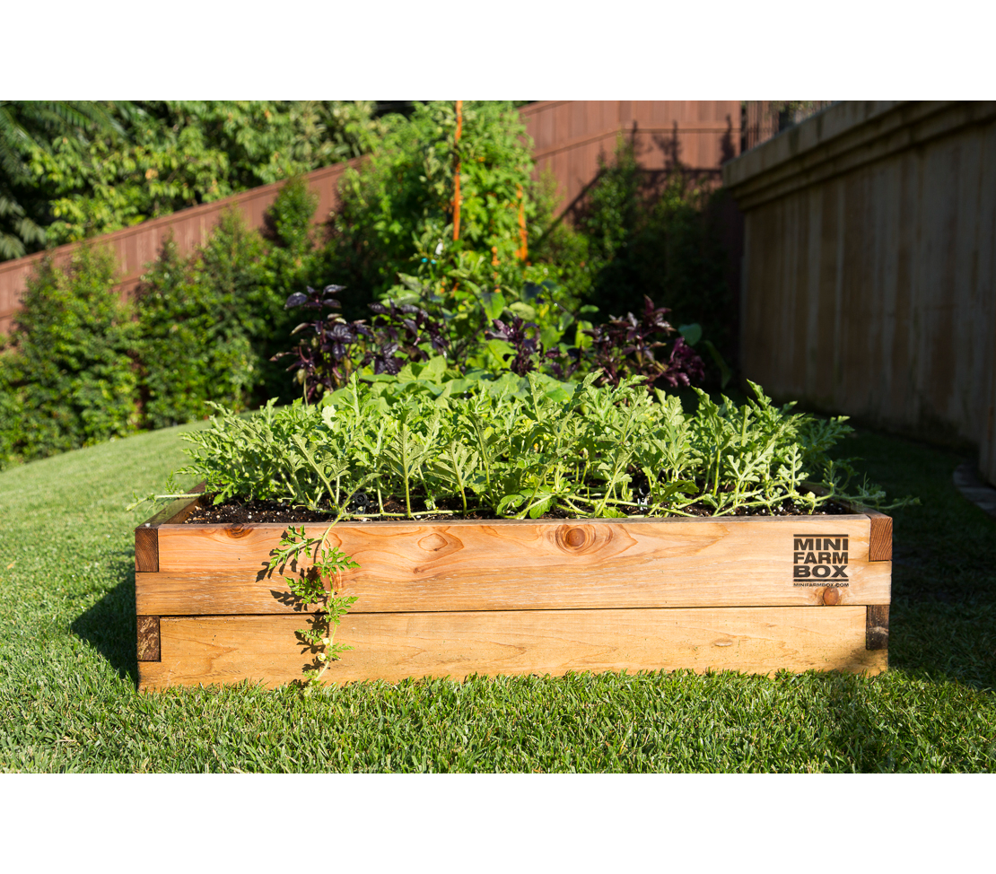 Incredible Diy Raised Garden Beds Ideas