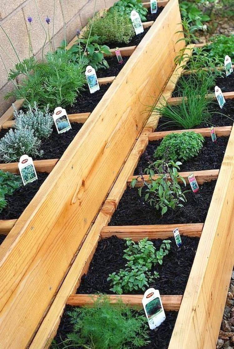 Garden Rectangular Herb Garden Design And Herb Garden Design