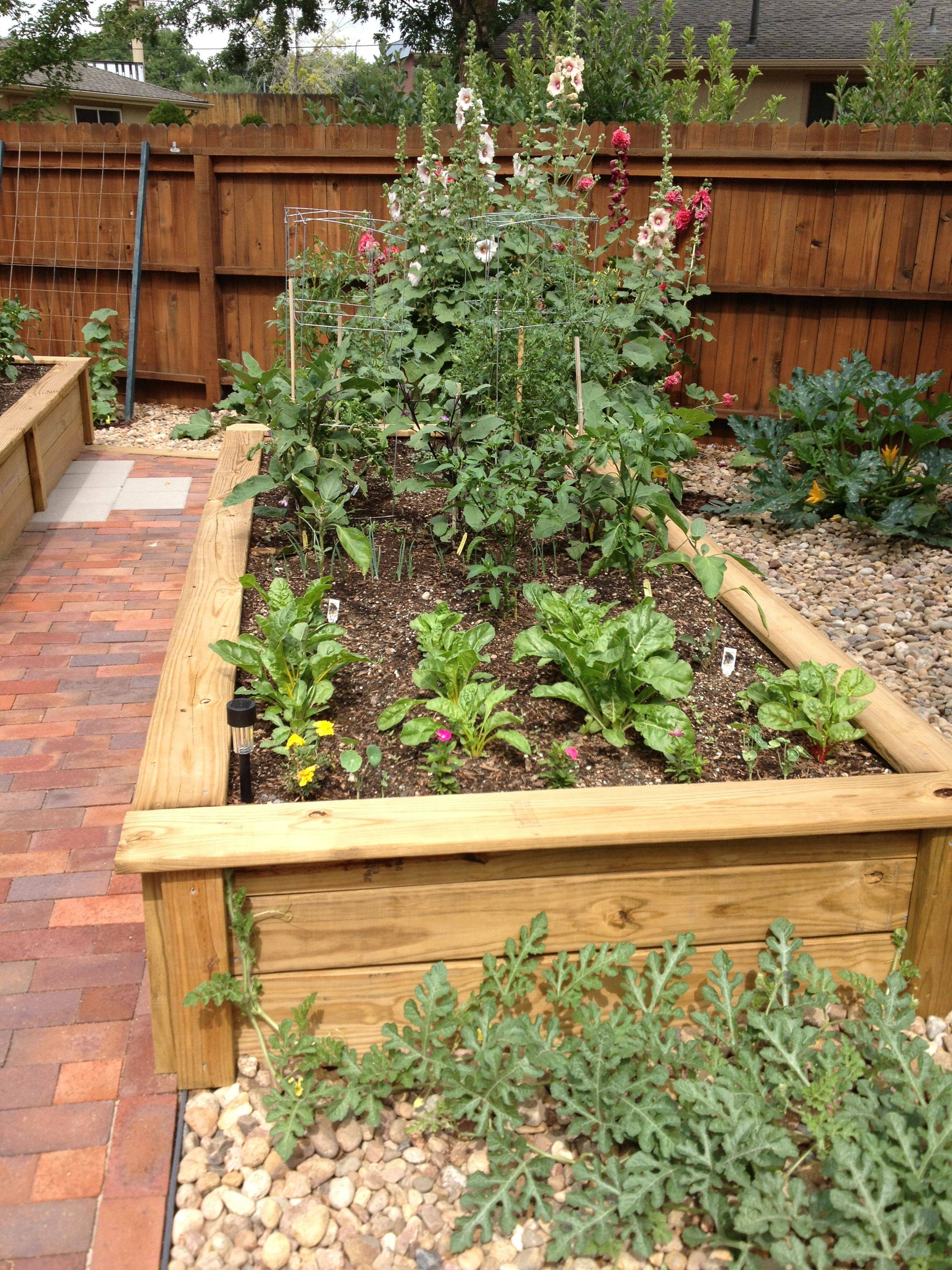 Raised Veggie Beds Backyard Herb Garden