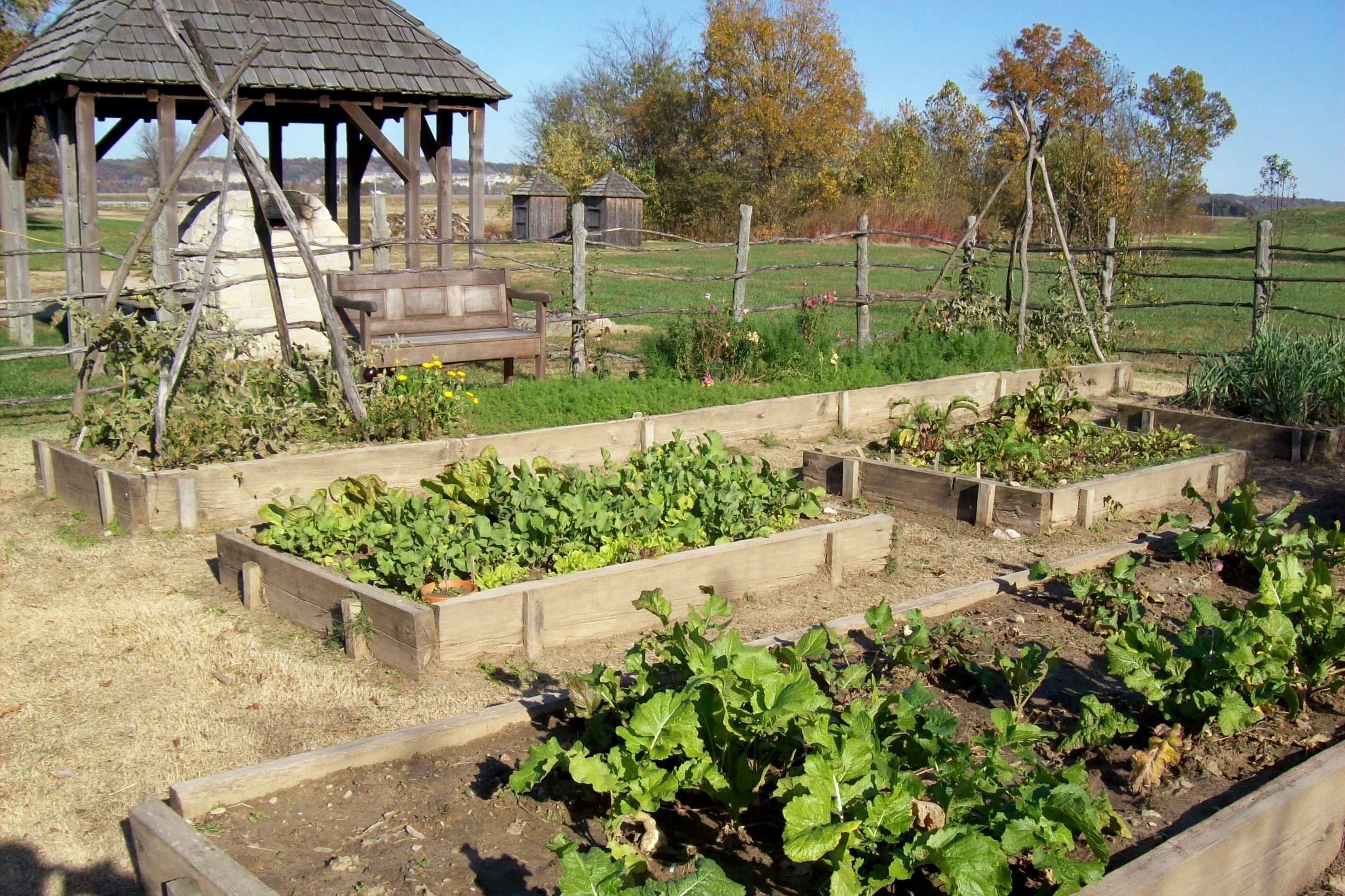 Perfect Raised Garden Beds Layout Design