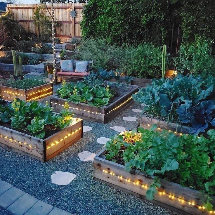 Raised Bed And Garden Ideas