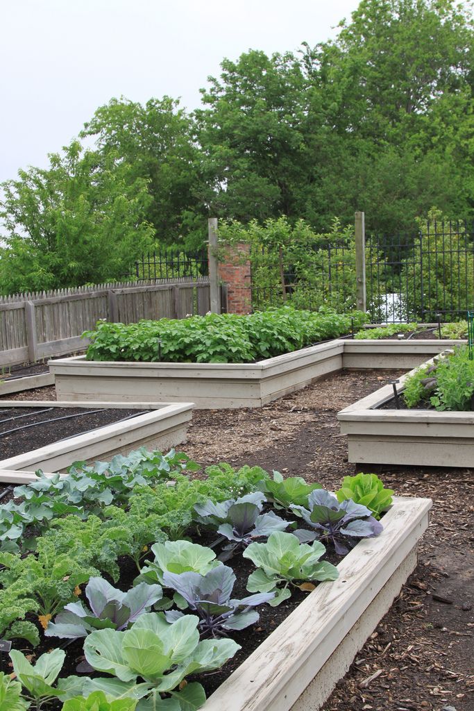 A Potager Extraordinaire Modern Design