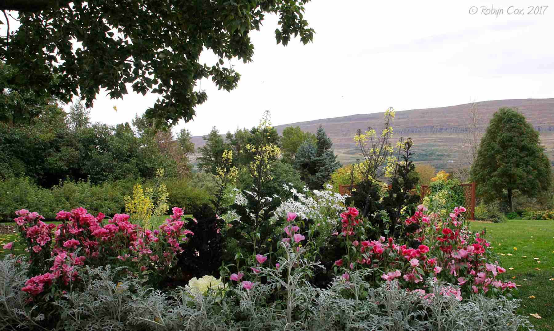 Amazing Flower Garden Ideas