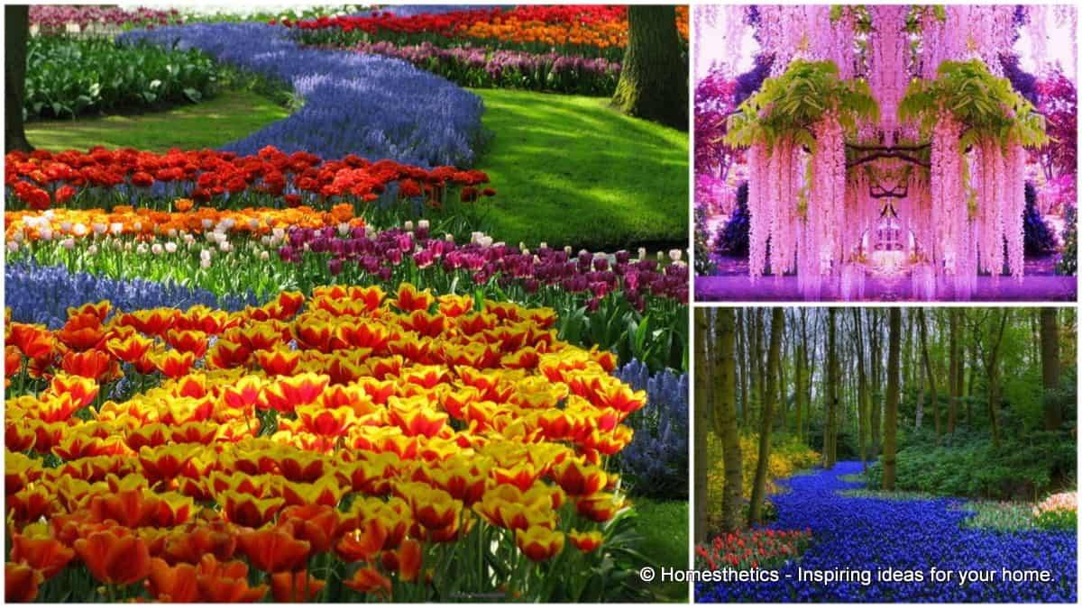 Beautiful Flower Garden Design Ideas Mainstay Find