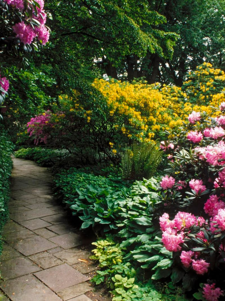 Exploring Hamiltons Parks