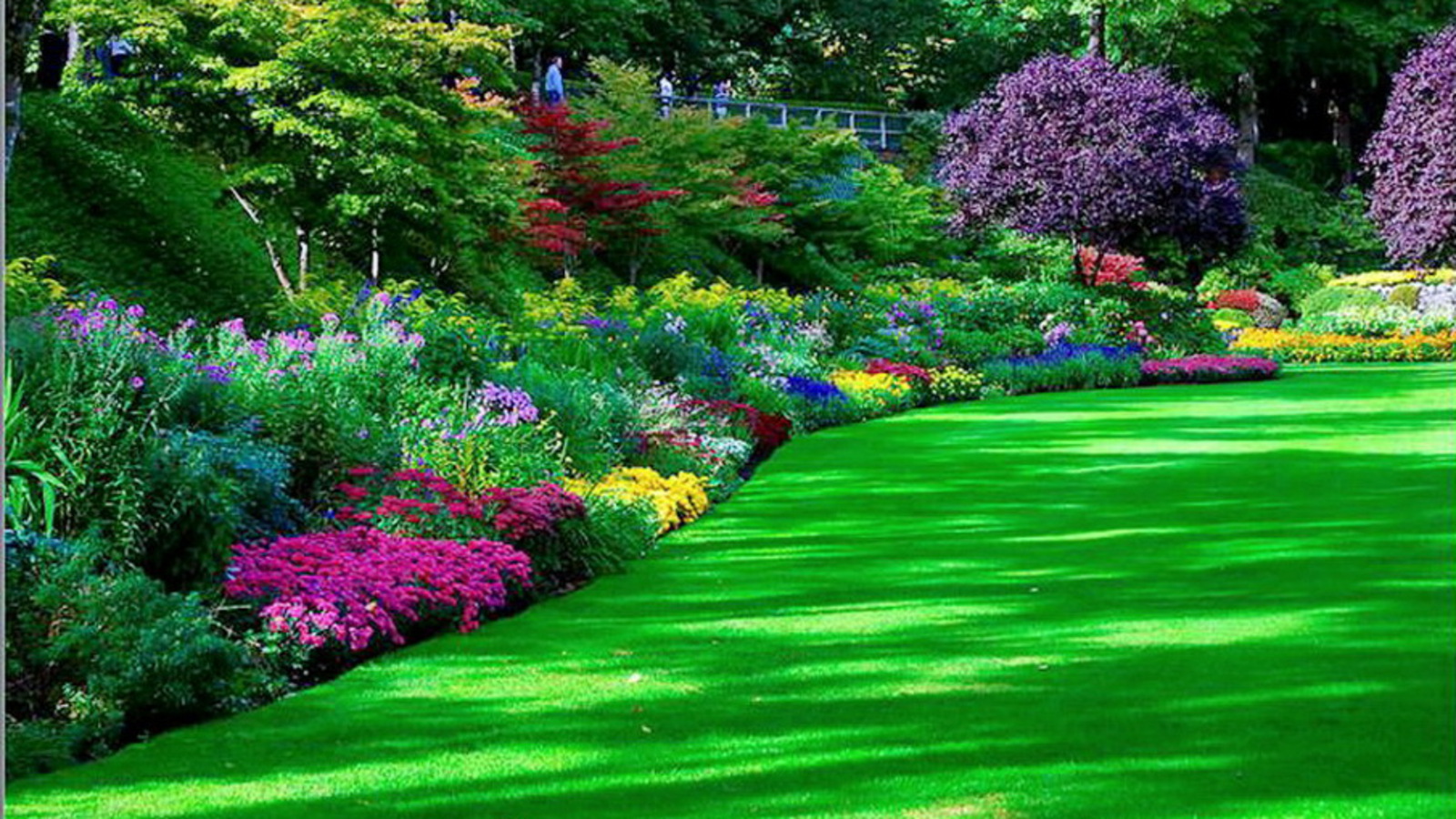 Flower Garden Wallpapers Top Free Flower Garden Backgrounds