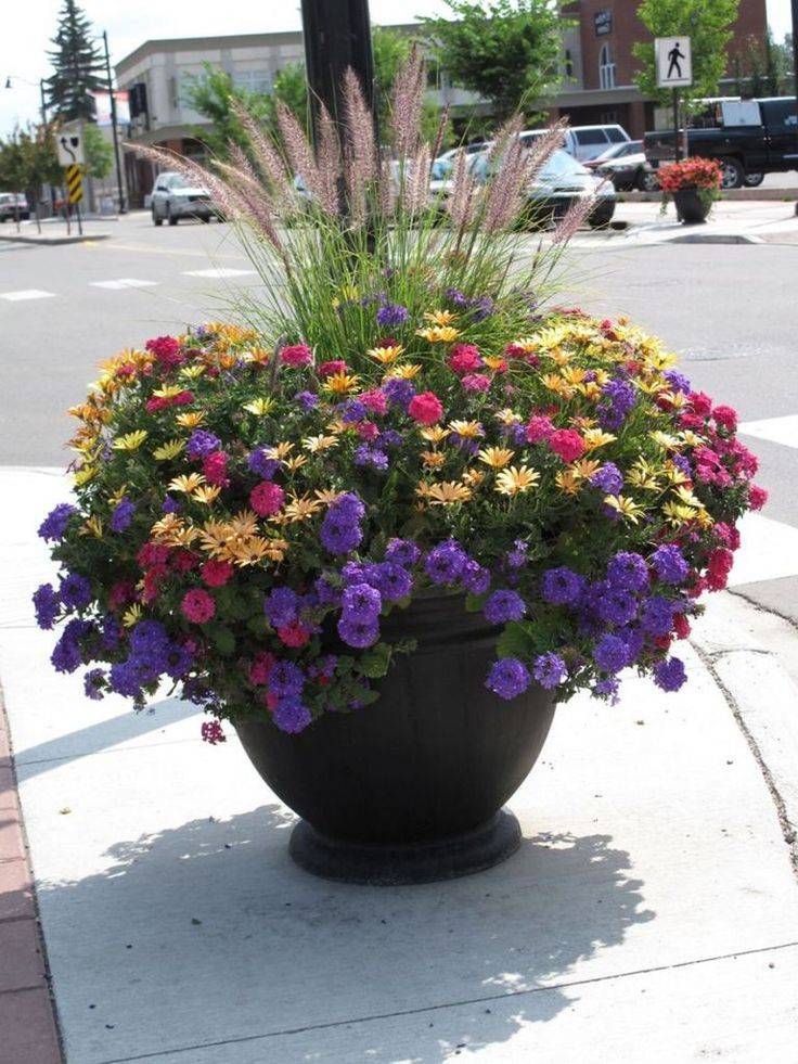 Large Container Gardening Ideas