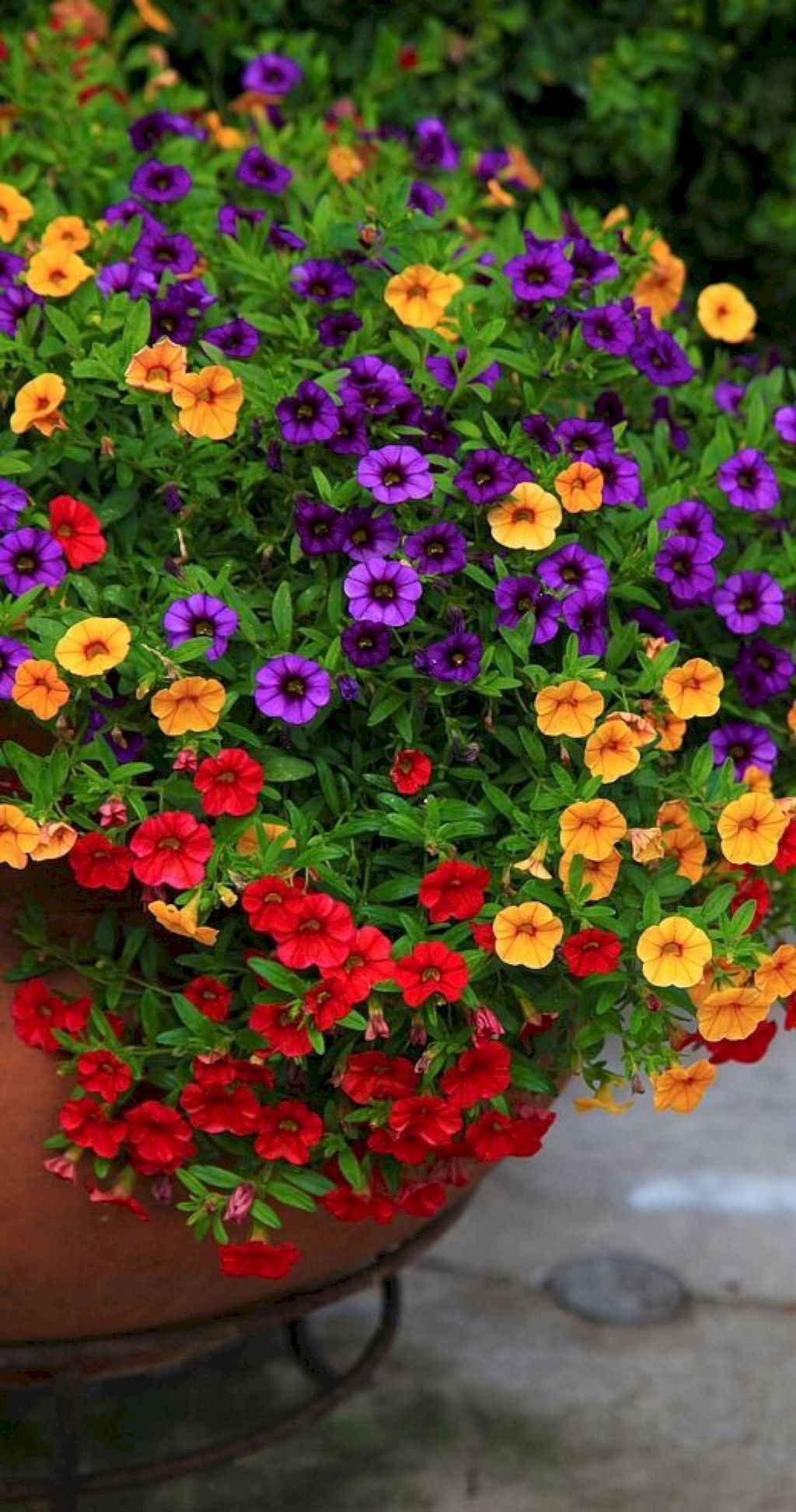 Wonderful Potted Flowers Decor Ideas