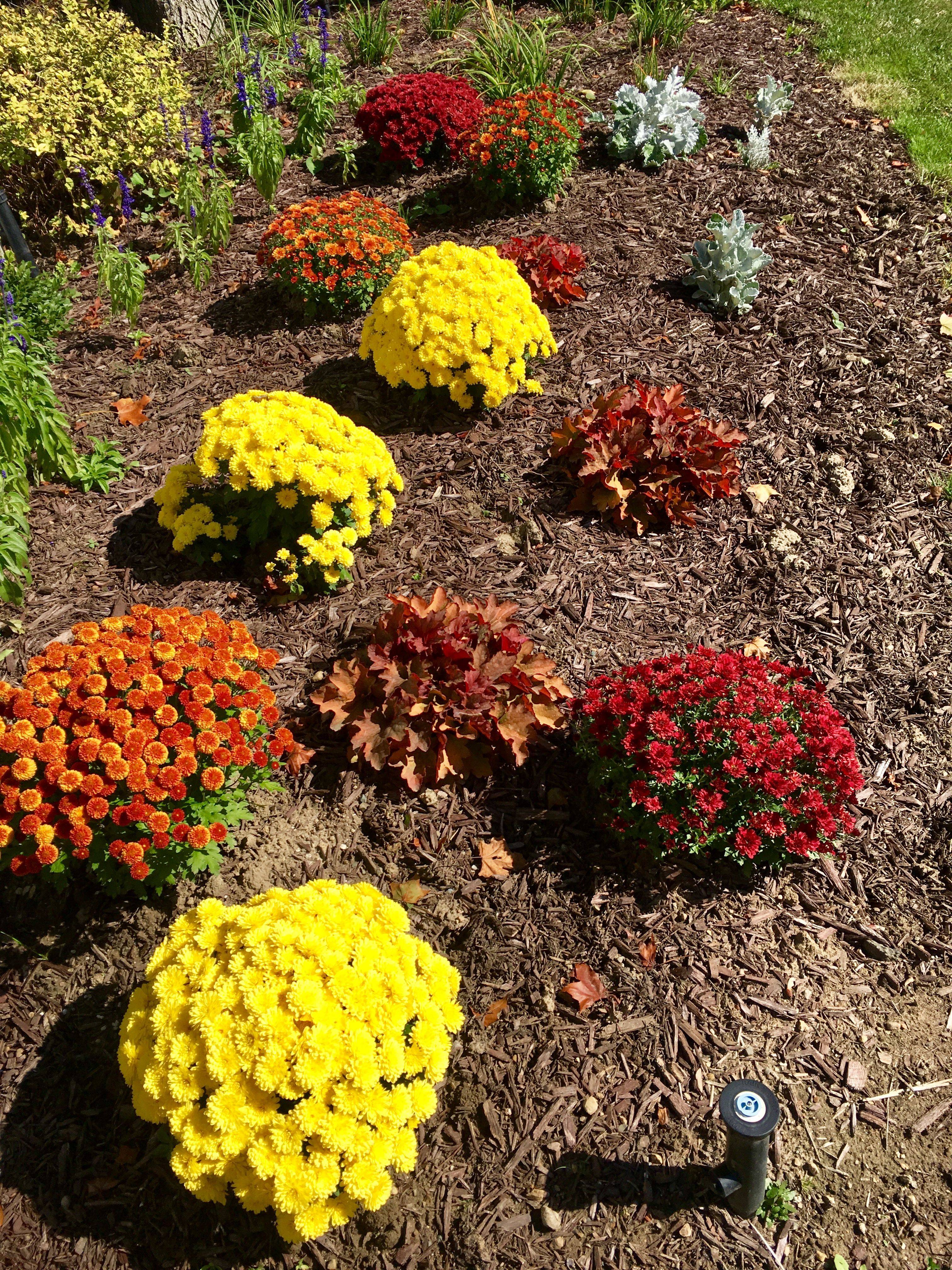 Gorgeous Fall Flower Pot Ideas