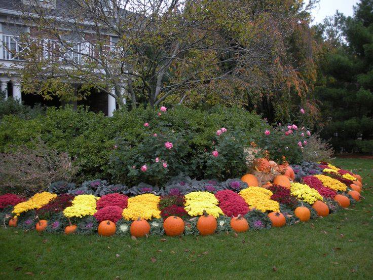 Easy Outdoor Fall Decorations