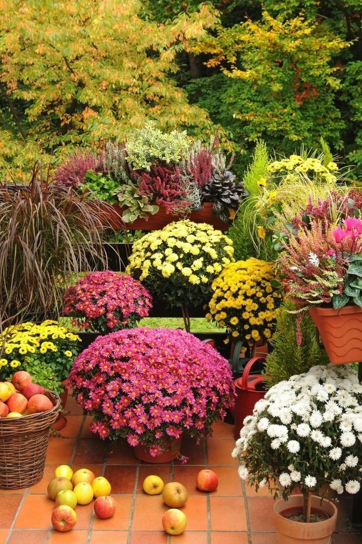 Beautiful Fall Flower Garden