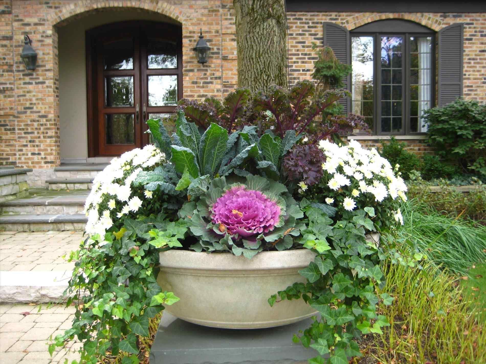 22 Beautiful Fall Flower Garden Ideas You Gonna Love SharonSable