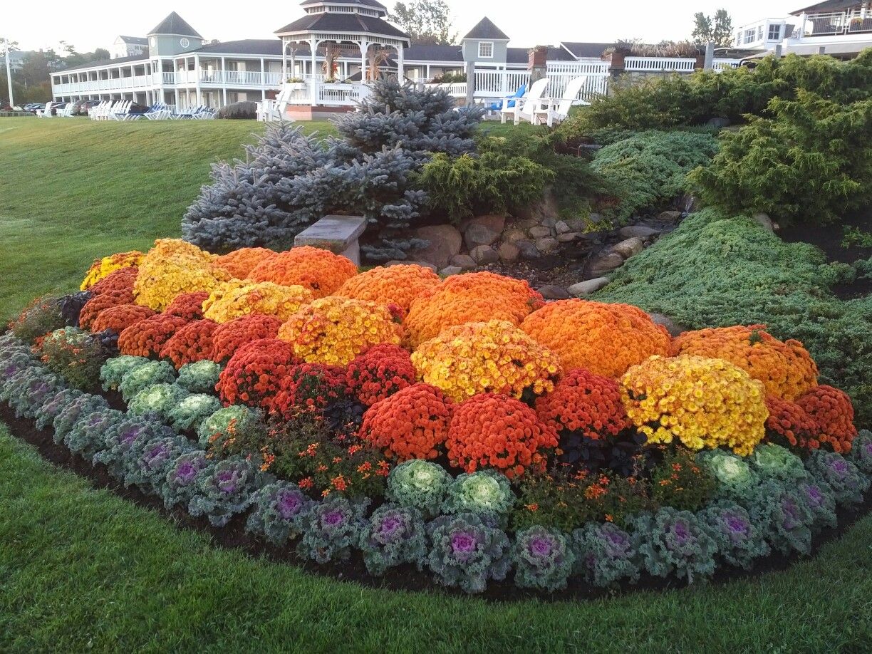 Top Beautiful Fall Flowers Outdoor Garden Ideas Inspira Spaces