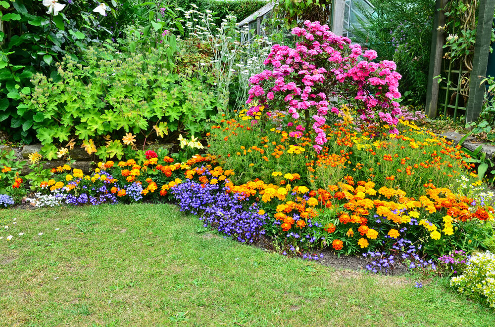 The Perfect Perennial Flower Bed