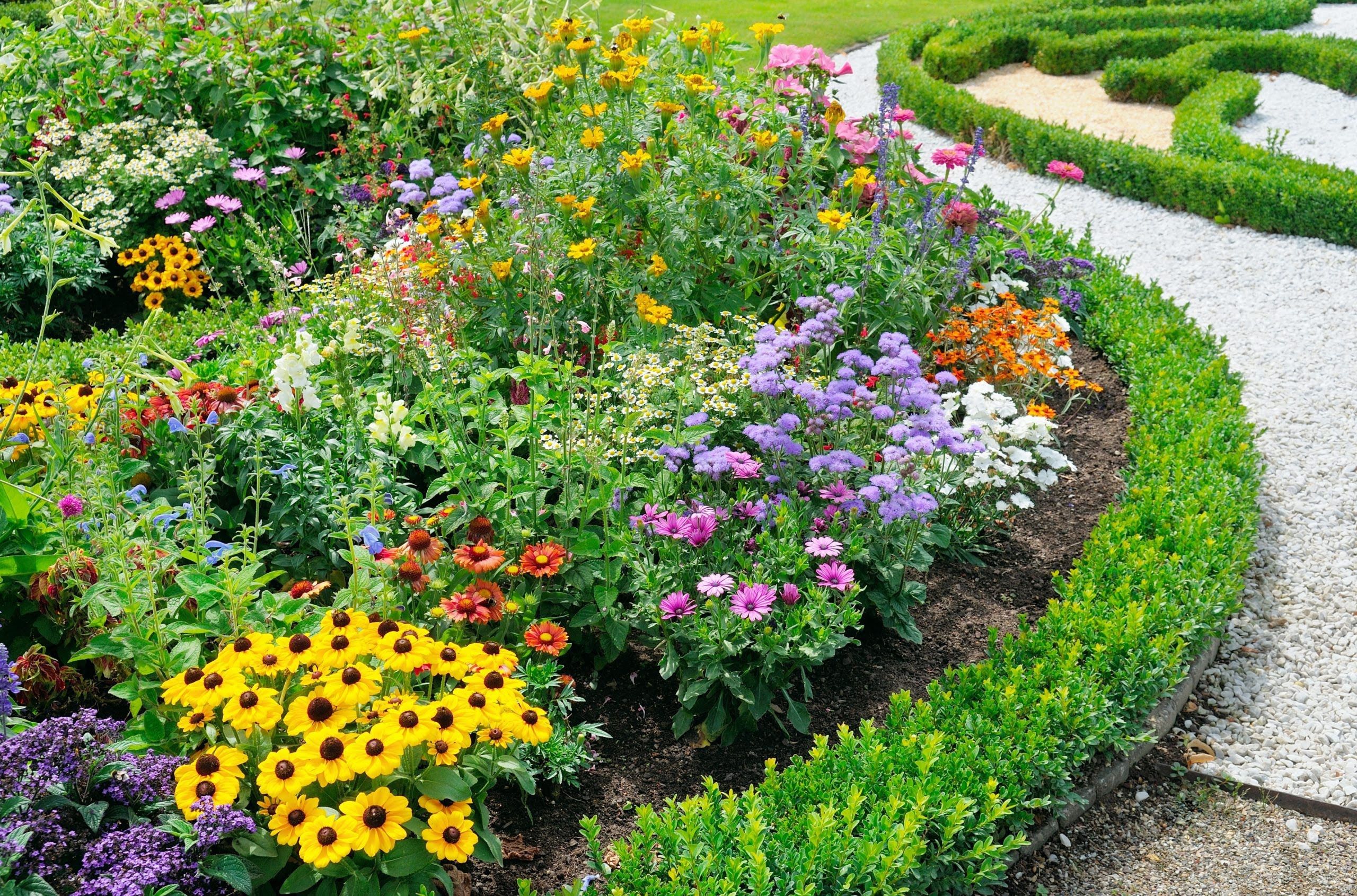 Perennial Garden Ideas Hgtv