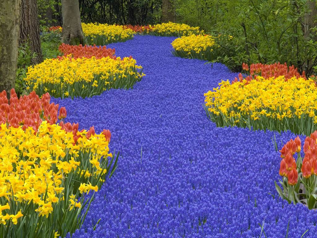 Beautiful Flower Garden