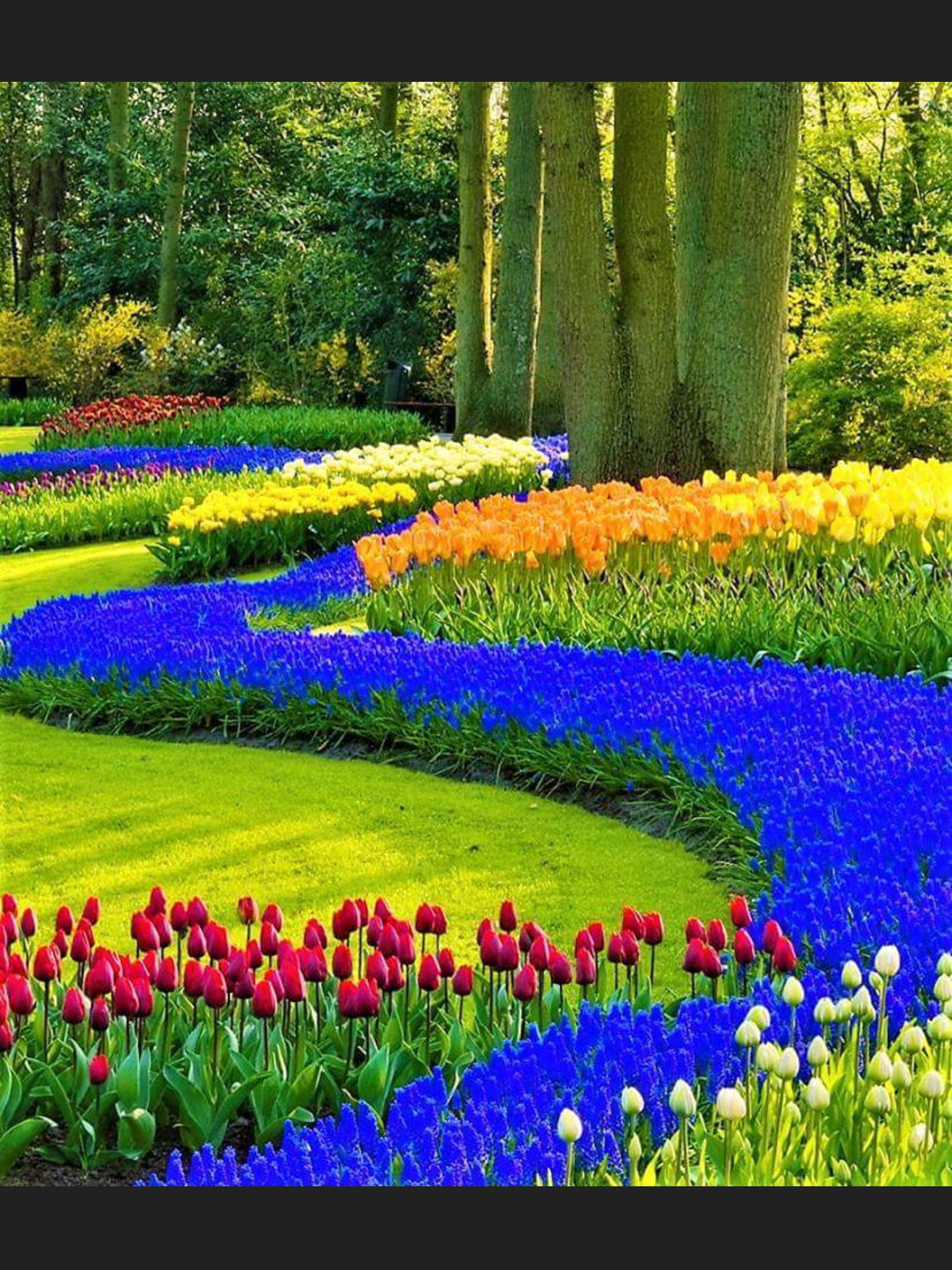 Beautiful Garden Hd Wallpaper Download Flower Garden Images