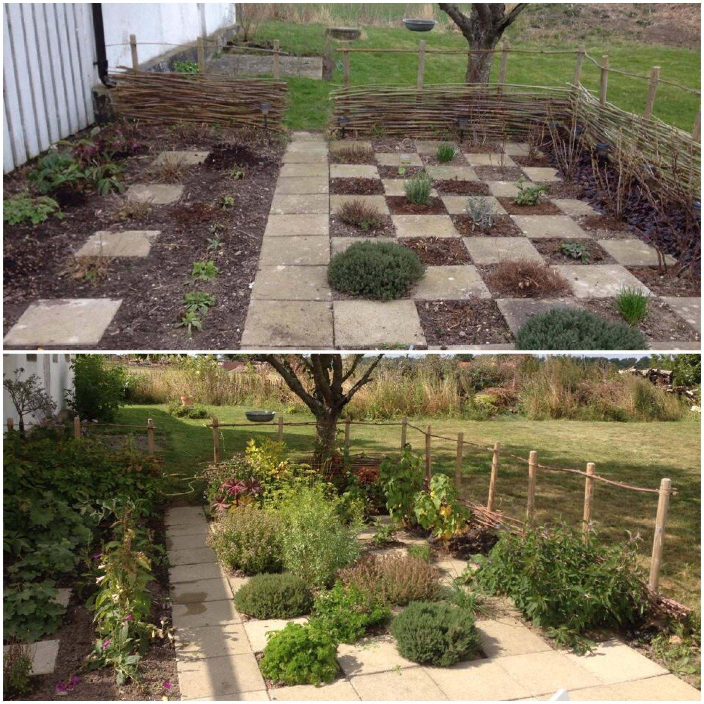 Gardening Ideas