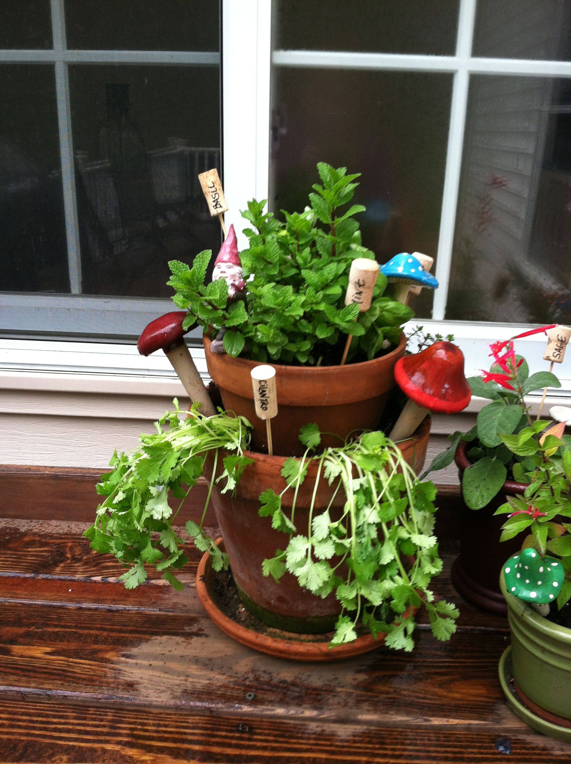 Raised Herb Garden Design Photograph