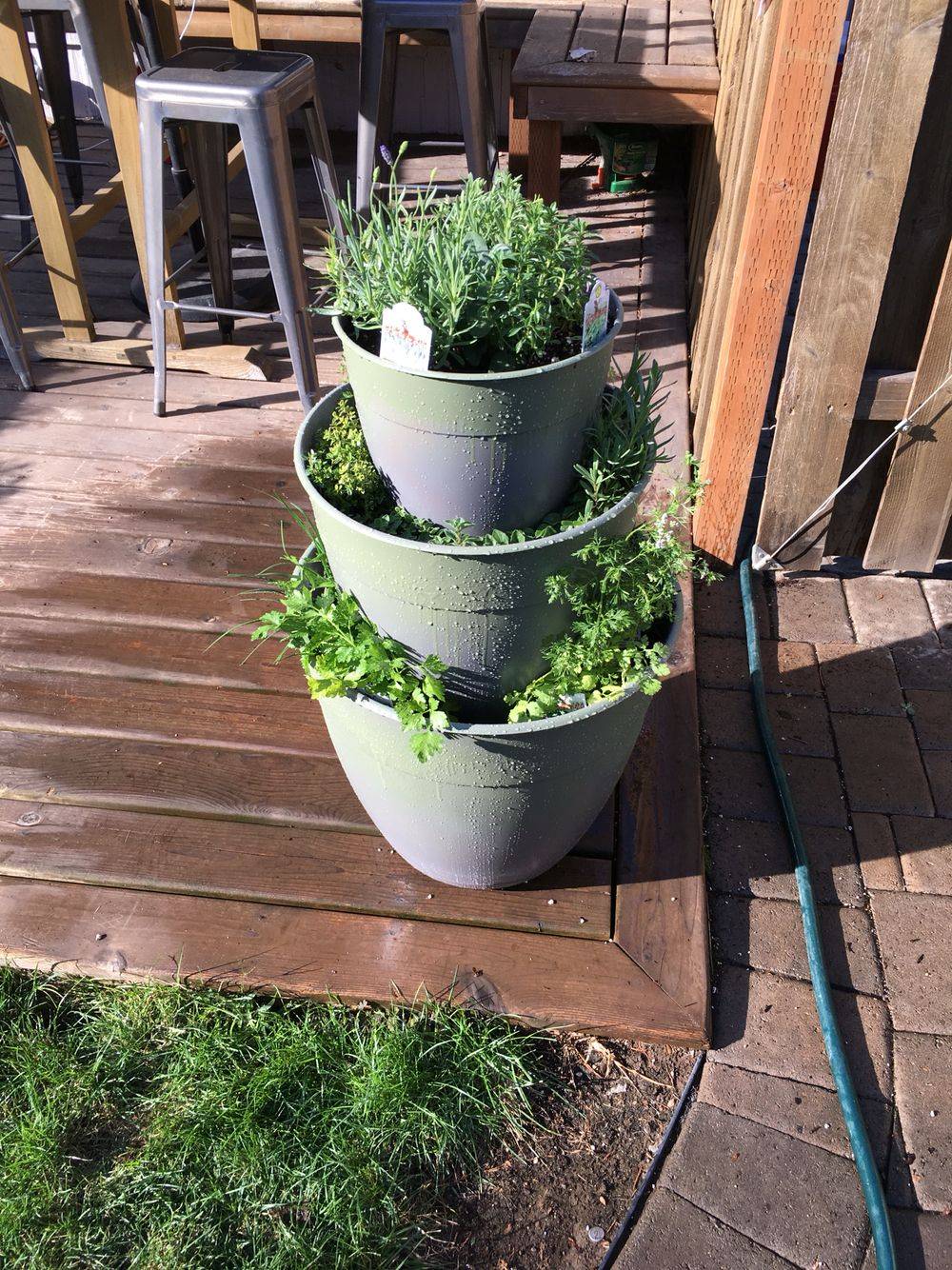 Small Tiered Herb Garden Herb Garden