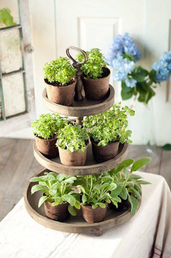 Herb Garden Pots