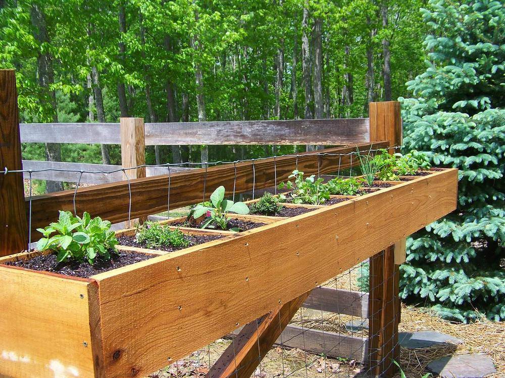 Best Repurposed Garden Container Ideas