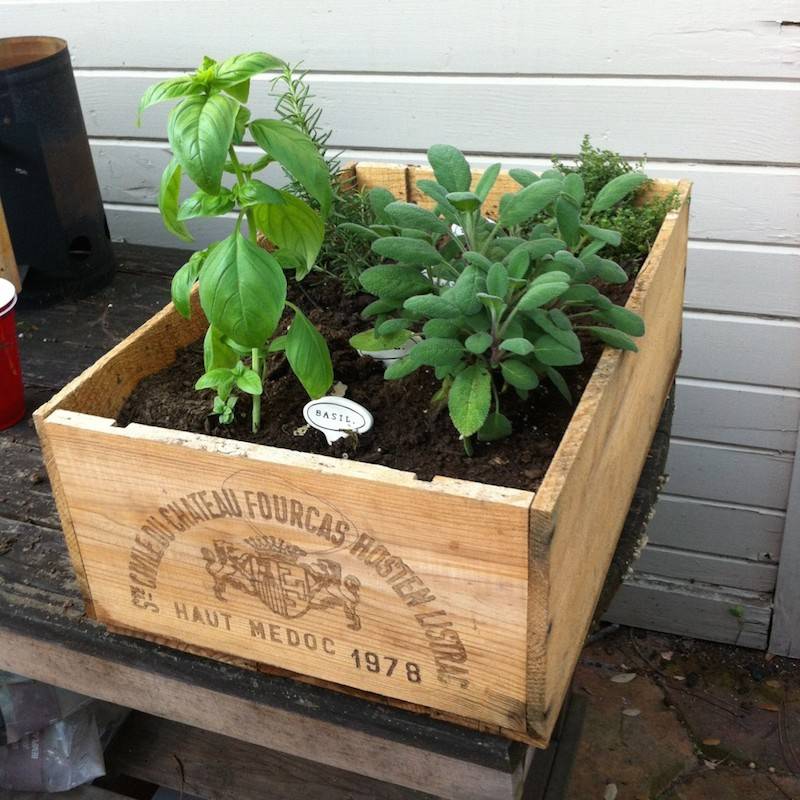 Container Herb Gardens