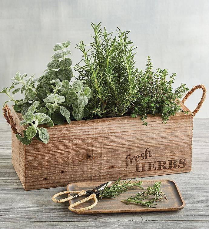 Spectacular Herb Gardening Idea